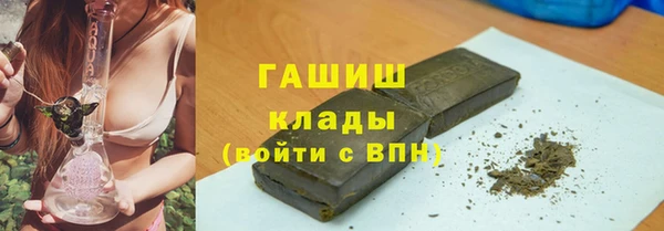 индика Балахна